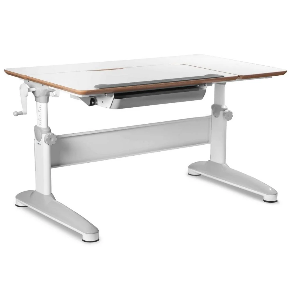 Mayer Birou ergonomic reglabil Expert