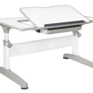 Mayer Birou ergonomic reglabil Uniq