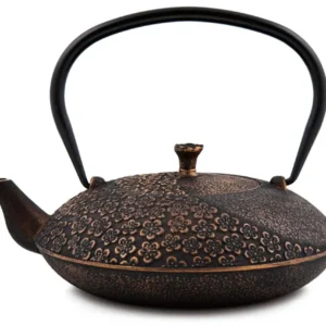 Ceainic japonez din fonta "Takumi" negru 1.1l.