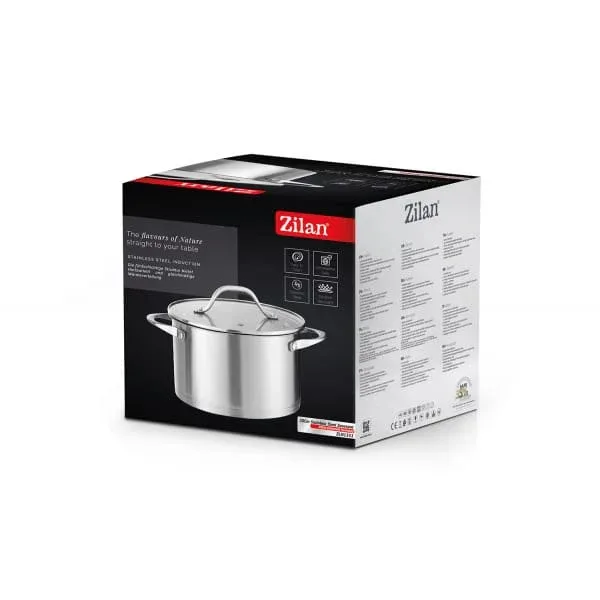 Oala din inox cu capac de sticla, capacitate 3L, diametru 20cm ZILAN / ZLN 1351