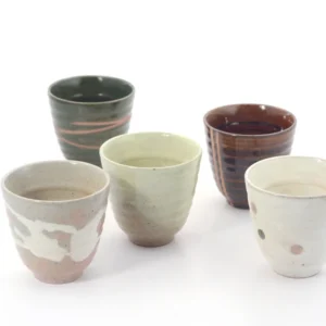 Set de ceai din ceramica japoneza Takashi de 5 cesti