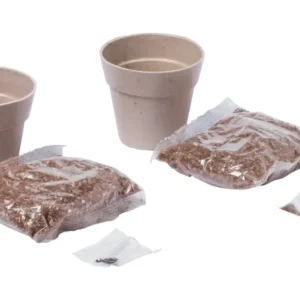 Set plante | AP781236