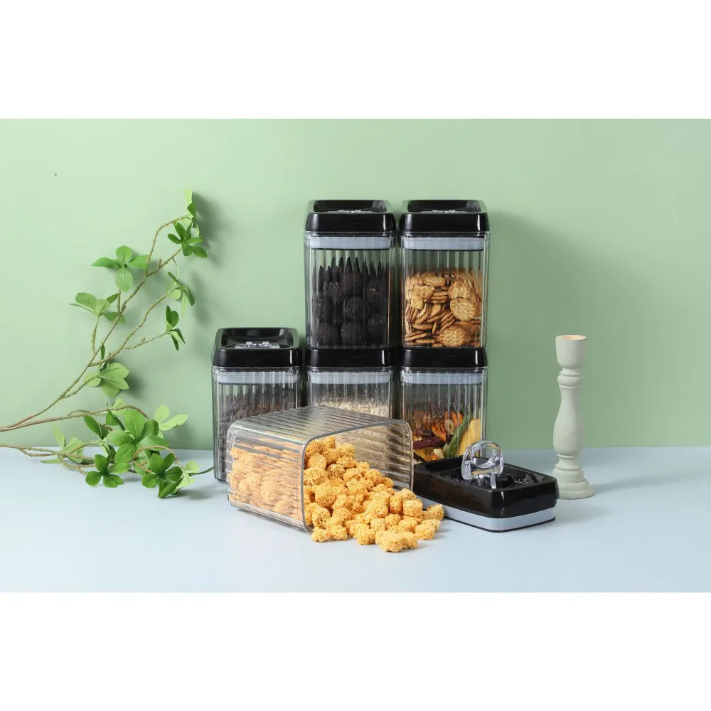 Set 6 Recipiente din Plastic, Vivimall, pentru Alimente/Obiecte, Inchidere Ermetica, Textura Ondulata, 6 x 1.5l, Transparent