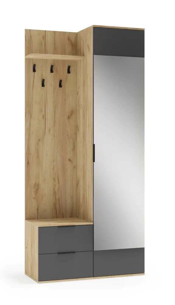 Mobiler hol CORAL, stejar auriu/gri antracit, PAL laminat, 100x45x203 cm