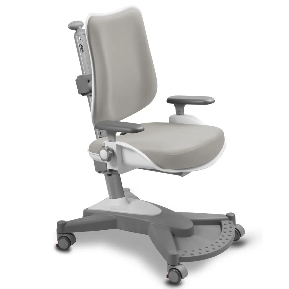 Mayer Scaun ergonomic care crește odată cu copilul dumneavoastră MyChamp gri