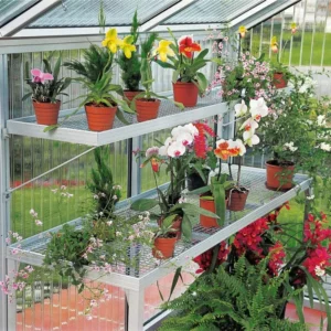 Raft Beckmann pentru sera de flori 40x200x6 cm