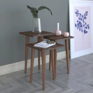 Set Mese R258